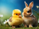 Cute bunny and chick