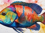 Marble Parrotfish