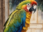 Gold Shoulder Parrot