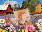 Kitten and flowers