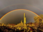 Double Rainbow in Saguaro National Park