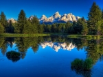 Sunny Day In The Tetons, Wyoming