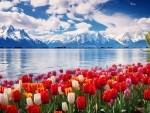 Lake with Tulips Flowers