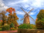 Autumn at the Windmill