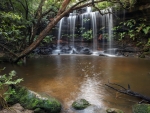 Andamira Falls on the Girrakool Loop Track in the Brisbane Water National Park in NSW, Australia