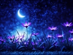 Purple glowing flowers in the grass at night