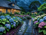 Flowers garden at night