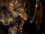 Wolves