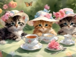 Tea time