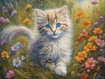 Kitten on the flowery meadow