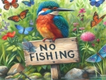 No Fishing