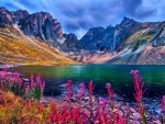 Mountain Lake, Northern Yukon Territory, Canada