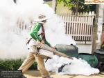 Conquer Mosquitoes with Powerful Fogging Machine Mosquito Control