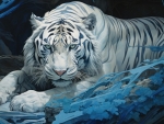 White tiger