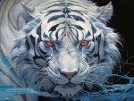 White tiger