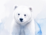 Polar bear cub