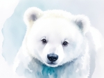 Polar bear cub