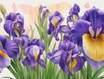 Irises