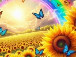 Sunflower Rainbow