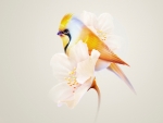 Bird and flowers