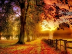 Foggy Autumn Sunrise