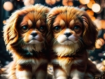 King Charles Cavalier