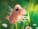 Fairy piglet
