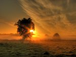 Fog Sunrise