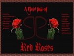 Red Roses