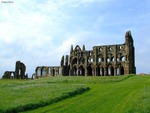 Whitby Abby