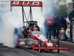 Budweiser Top Fuel Eliminator