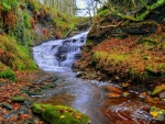 Dean Brook Waterfall, Rivington, England