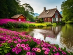 House by the pond