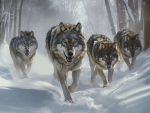 Wolves