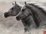 Horses