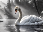 Swan Song