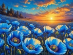 Sunset in the field of blue poppies