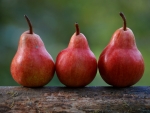 Red pears