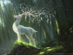 Saccred White Deer