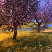 cherrytree 1 colored