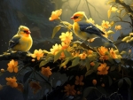 Golden birds