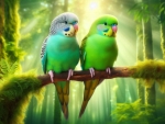 Parrots are sitting on a tree branch
