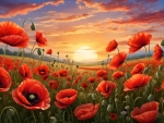 Red poppies at Sunset