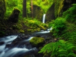 Mossy Grotto Falls, Ruckel Creek - The Columbia river gorge, Oregon
