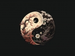 Yin-Yang