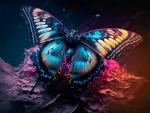 Butterfly Fantasy