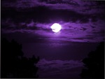 purple moon 1. jpg