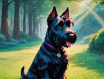 Scottish Terrier