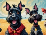 Scottish Terrier