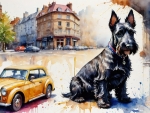 Scottish Terrier